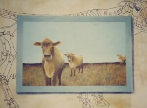 A painting of a cow's skeletal anatomy. Over this is a painted picture of two cows in a field.